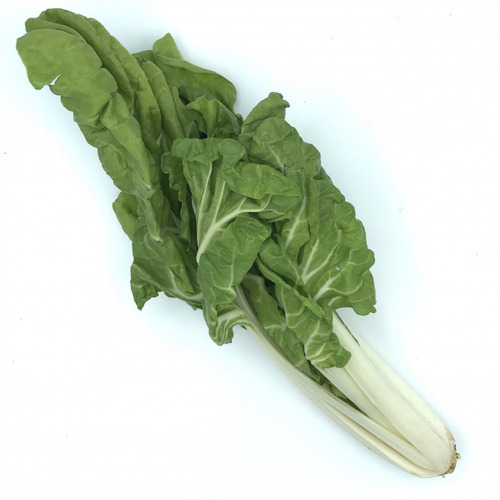Acelgas