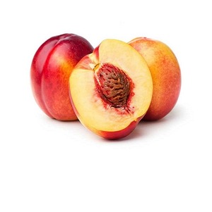 Nectarina