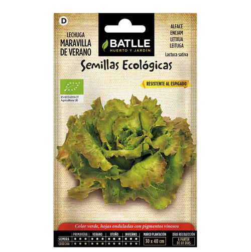 Semillas de lechuga maravilla