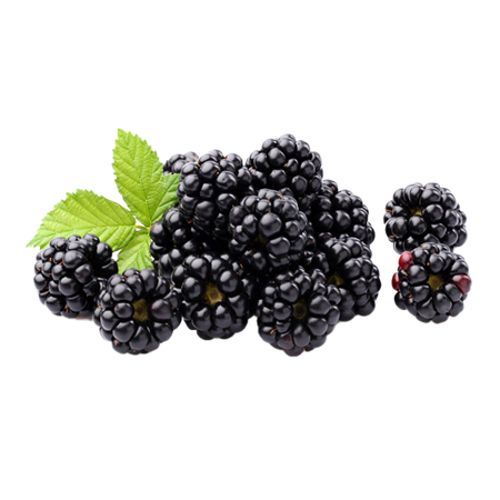 Moras