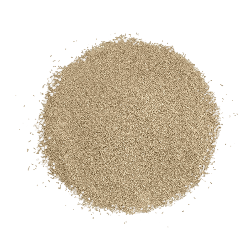 Psyllium