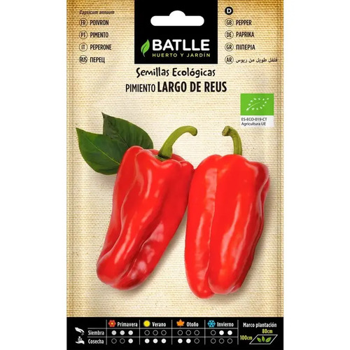 Semillas de pimiento largo Reus rojo