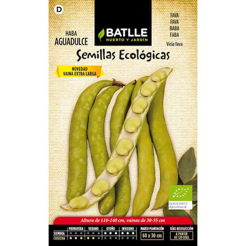 Semillas de haba aguadulce