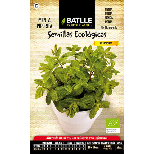 Semillas de menta piperita