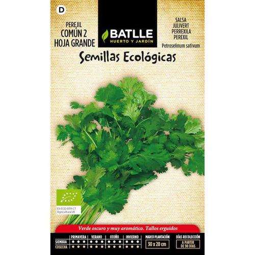 Semillas de perejil común