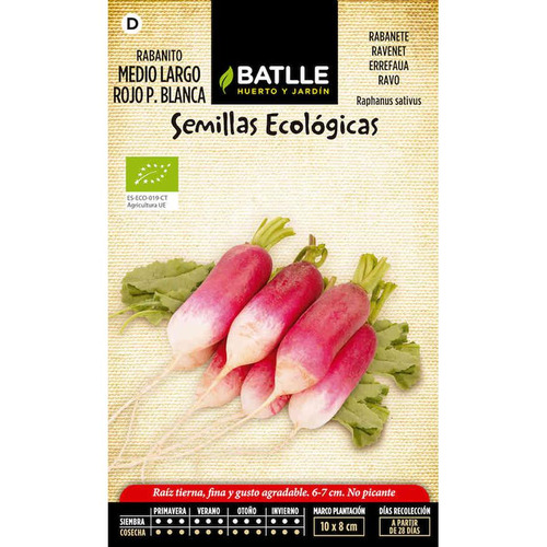 Semillas de rabanito medio largo
