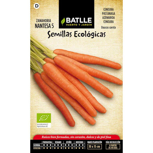 Semillas de zanahoria nantesa