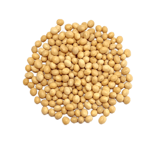 Soja blanca
