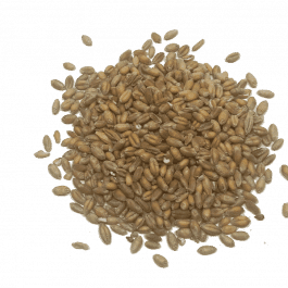 Trigo en grano a granel