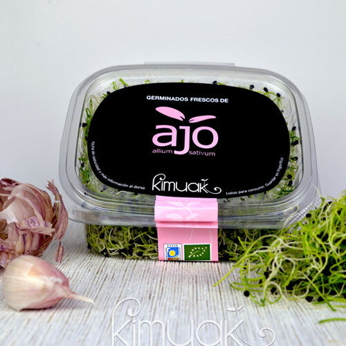 Germinados de ajo
